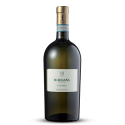 Lugana Doc Pasini  San Giovanni