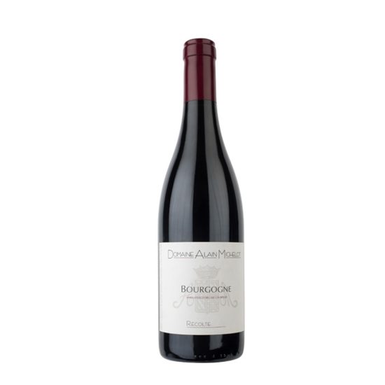 bourgogne pinot noir michelot